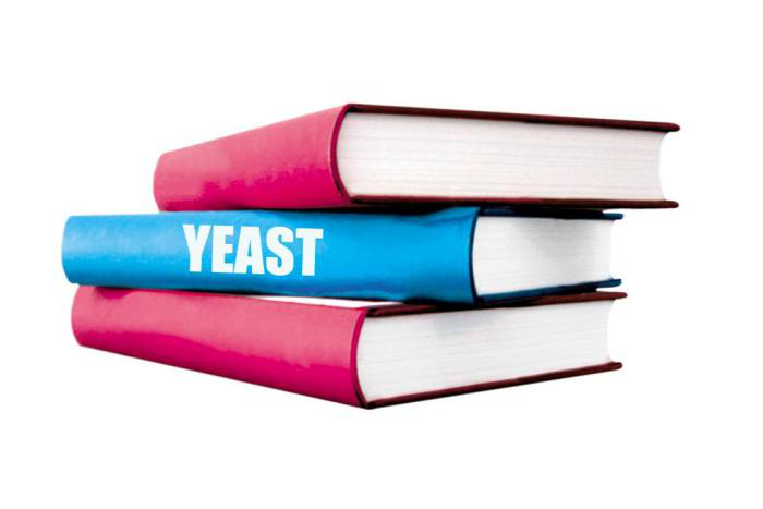 Yeast in dairy feeds: Highly wanted dead and alive