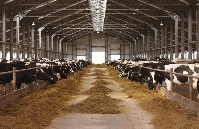 Feed industry technology lowering livestock emissions