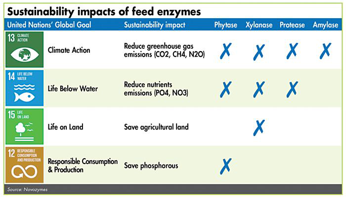 How feed enzymes support agricultural sustainability