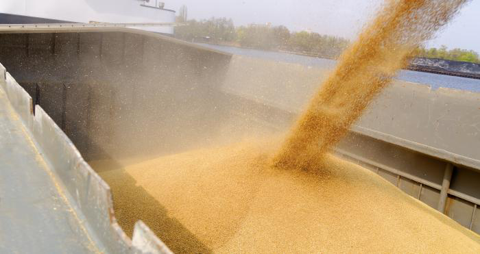 Growing demand for corn, soybeans driving up prices
