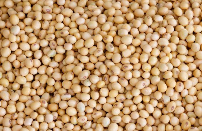 How much more soybean meal can be used in commercial feeds?