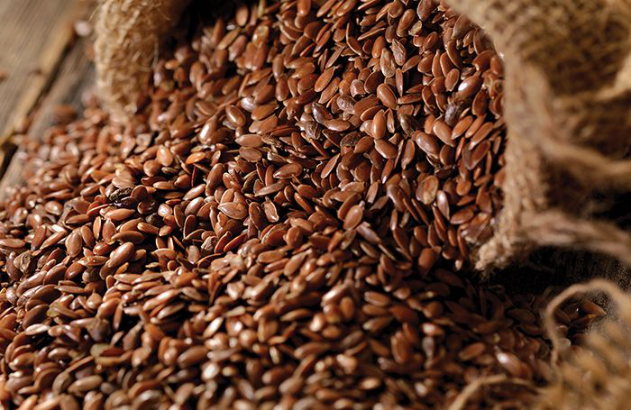 Linseed, an ancient crop with futuristic possibilities