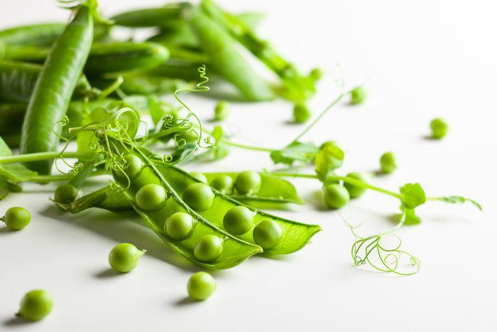 Peas are worth considering as a major protein source