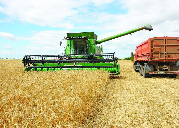 Russia’s organic feed production trending upward