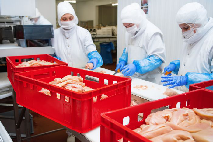 Congressional report faults meatpackers in pandemic