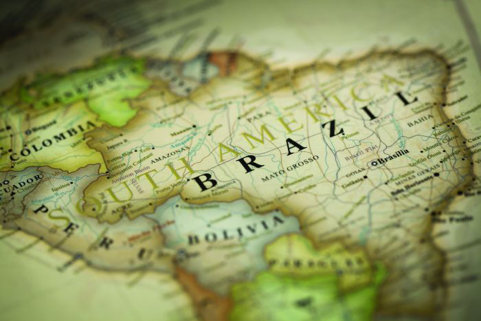 Brazilian animal feed sector ready for growth in 2022