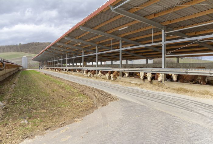 Feed industry optimistic about 2022 despite challenges