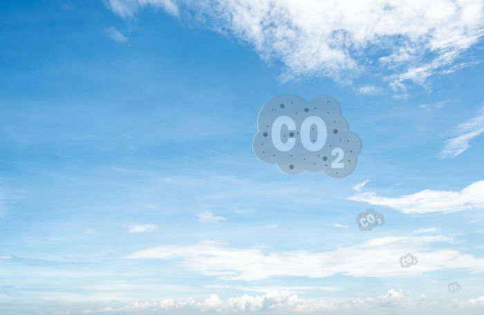 Biotech firm turns CO2 into protein for animal feeds