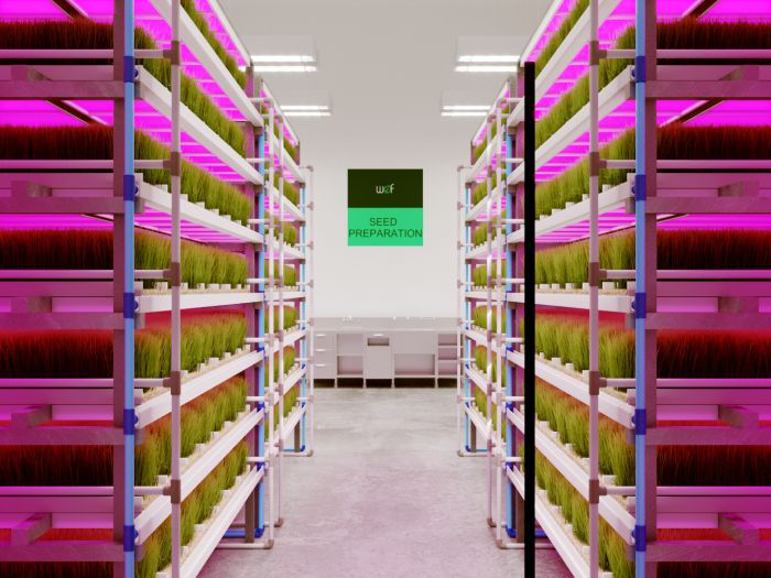 Vertical farming may alleviate feed production challenges