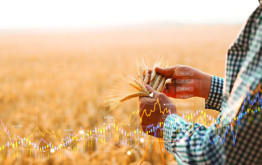 2023 Feed Industry Outlook: Brace for economic uncertainty